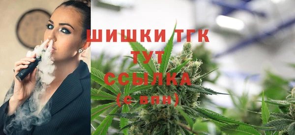 молекула духа Белоозёрский