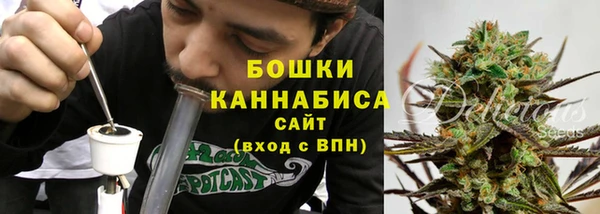 прущий лед Богданович
