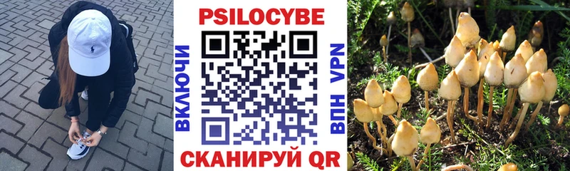 Галлюциногенные грибы прущие грибы  Белоусово 